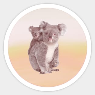 Save Koala Sticker